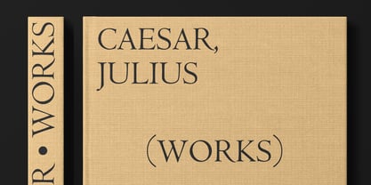 Centaur Now Font Poster 7